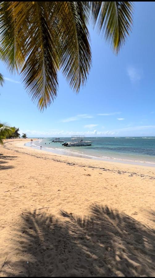 Lovely Beachfront 2 Bedrooms Condo With 2 Pools Las Terrenas Extérieur photo